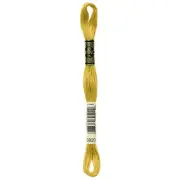 DMC 6-Strand Embroidery Cotton 8.7yd Dark Straw
