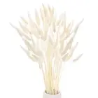 60-Pack Bunny Tails Grass 17 Inch for Home Decor/Wedding [White]