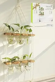 Renmxj Wall Hanging Plant Propagation Station - 6 Bulb Vase 2 Tiered Wooden Stand Plant Terrarium kit,Home Office Garden Decor Planter,Plant Accessories,Gardening Gifts for Women