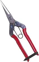 Chika masa stainless bud shears T-550S (japan import)