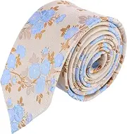[Trafalgar] Men's Big & Tall Florian Silk Novelty Necktie