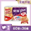 舒潔 VIVA 速效廚房紙巾(60張x6捲x6串/箱)