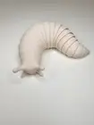 Slug Flex Fidget