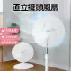 【小太陽 16吋二合一直立式擺頭風扇】電風扇 電扇 直立式風扇 擺頭扇 對流扇 循環扇 桌扇 風扇 TF-1899