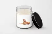 Labrador 2 Candle - Soy Wax Candle - Hand Poured Candle