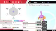 Pokemon Sword and Shield 6iv Shiny Mudkip - FAST DELIVERY!