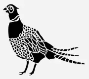 8"x9" Clear Plastic Stencil - Pheasant (SA1177)