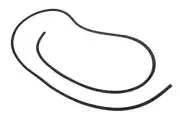 Genuine GM Sunroof Window Seal 13232866