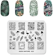 Nail Stamping Plate Feather Pattern Stamp Plate for Nail Art Stamping Image Template Manicure Stencil DIY Tools (NA020)