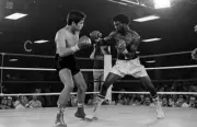 Cornelius Boza Edwards Throws A Punch V Bobby Chacon 2 Old Boxing Photo
