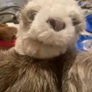 12" Folkmanis Three-Toed Sloth Hand Puppet Plush Stuffed Animal Hook And Loop