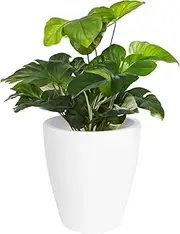 Elly Décor 18 inch Plastic Planter with Hole for Drainage, Outdoor Patio and House Decor, Lightweight & Resistant Plant Containers, Conic Tall Planter 18" x 16" White