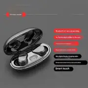 Echolabs Ear Buds 2025 Edition, Echo Labs Audio Earbuds New