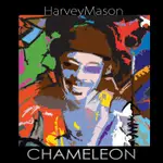 哈維梅森 變色龍 HARVEY MASON CHAMELEON CRE34113