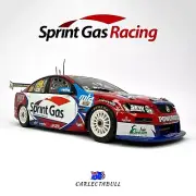 BATHURST 2009 Mark Skaife & Greg Murphy Sprint Gas Holden VE Commodore 1:18