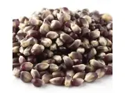 Blue Bulk Popcorn 1 Pound Popcorn Kernels