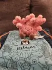 Authentic Jellycat Amuseables Coral – New with Tag and Dustbag