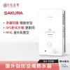 【私訊更優惠】SAKURA 櫻花 10L 屋外型防空燒熱水器 GH-1035