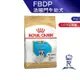 【ROYAL CANIN 法國皇家】 法國鬥牛幼犬專用乾糧(FBDP_3kg)｜皇家粉絲團 鬥牛犬飼料 幼犬飼料 狗飼料