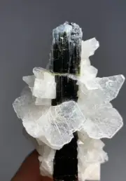 Tourmaline Crystal Specimen from Afghanistan 24 grams