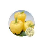 Capsicum Diamond - Seed Packet - Organic Seeds - Spring - Summer