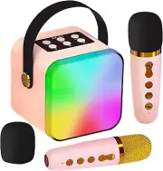 Mini KTV Karaoke Machine Bluetooth Speaker with 2 Microphone Home Sound System