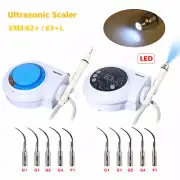 Dental Ultrasonic Scaler (LED) Handpiece fit Cavitron EMS for Woodpecker