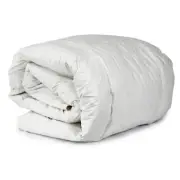 Jason Commercial Luxurious Queen Bed Feather & Down Cotton Quilt 210x210cm
