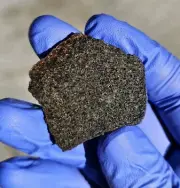 Meteorite**NWA 16170, Brachinite**11.729 gram slice, Rare Primitive Achondrite!!