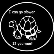16CM*15CM Tortoise Sticker Decal For Cars Caravans Fun Sticker Cute Car Styling Car Stickers In Black Or Sliver C8-0187 - (Color Name: Silver)