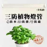 在飛比找momo購物網優惠-【JIUNPEY 君沛】1入組 4呎 50W全光譜植物燈管 