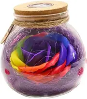 [Cabilock] Handmade Eternal Flower Wish Bottle with LED Light Purple Rose Bottle present for Valentine's Day Mother's Day Anniversaries Birthdays Weddings No Watering Decor