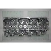 Nason Cylinder Head - Bare - 908780