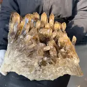 33.11LB Natural smoky Quartz Cluster Crystal Point vug mineral Specimen Healing