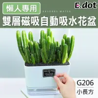 在飛比找momo購物網優惠-【E.dot】透明雙層磁吸自動吸水懶人花盆(G206長方形小