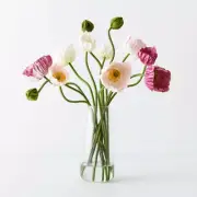 Arrangement Poppy Mix in Vase - Pink Assorted