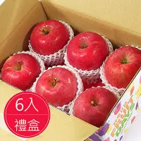 在飛比找鮮食家雲端冰箱優惠-【鮮果日誌】日本空運套袋富士蘋果(6入禮盒)