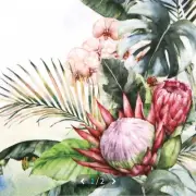 "Hit" 3 Paper Napkins for Decoupage/Scrapbooking/Craft-Protea & Orchids