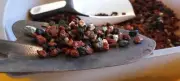 1.5 lbs Mix Horticultural Lava Rock Pebbles Decorative Landscaping Gritty Rocks