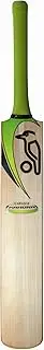 [KOOKABURRA] South Sydney Rabbitohs NRL Rugby League Junior Youths Kids Replica Jerseys