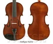 Gliga III Violin Outfit with Tonica -1/2