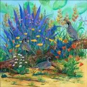 Desert Quail Accent & Decor Tile Susan Libby Southwest Art SLA064AT