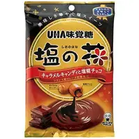 在飛比找蝦皮購物優惠-日本 UHA味覺糖 鹽之花 焦糖牛奶糖