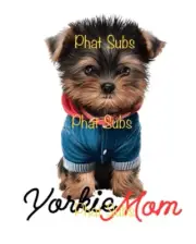 Sublimation Print Boy Yorkie Mom Ready To Press Heat Transfer