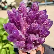 292G New Find purple PhantomQuartz Crystal Cluster MineralSpecimen