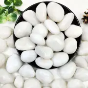 Natural Polished White Pebbles - Smooth White River Rocks for Plants