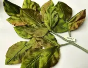 vintage 1940s millinery silk leaves shaded green 1 spray made in Japan