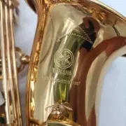 Professional Alto Saxophone 62 Brass Gold-plated Shell Button Sax Instrument