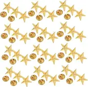 [TEHAUX] 12pcs Pentagram Badge Clothes Pin Metal Trim Men Decor Decorative Star Badges Lable Hat for Men Lapel Party Supply Star Shape Hat Badges Bulk Man Golden Accessories