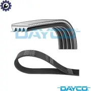 VRIBBED BELT 4PK855 FOR FIAT PUNTO/Hatchback/Van/Convertible PALIO/Weekend VW